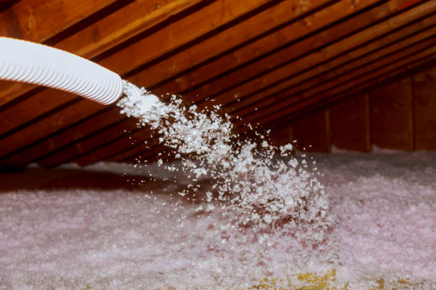 Best Residential Insulation in Bradley, WV