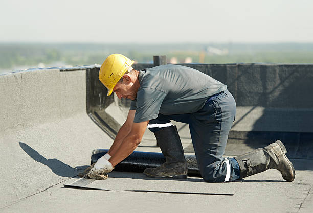 Best Specialized Insulation Services in Bradley, WV