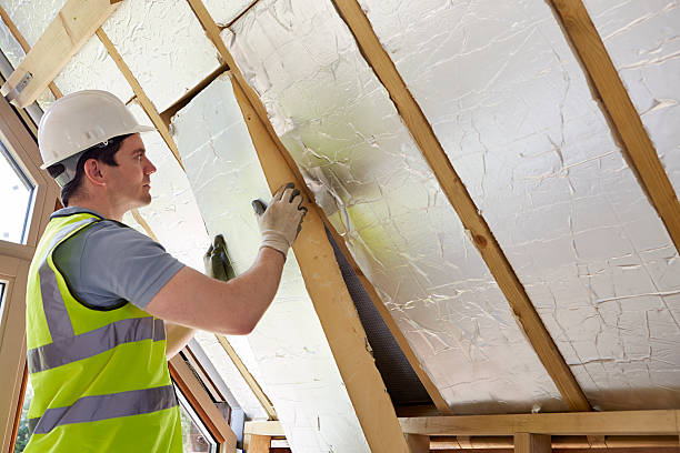 Best Geographic-Specific Insulation Services in Bradley, WV